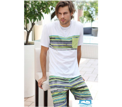 Бермуды с футболкой для мужчин Twisi Twisi_Toluca Зеленый 54